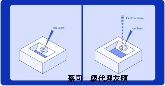 钦州扫描电子显微镜